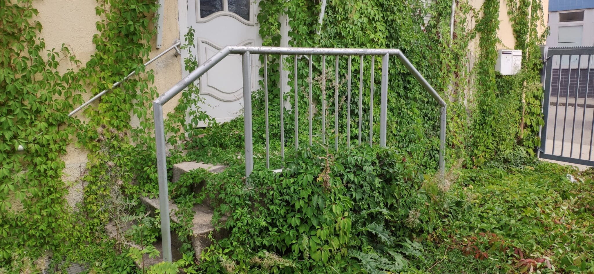 Eingang mit Treppe und Silbergeländer, umgeben von üppigem, grünem Pflanzenwuchs.