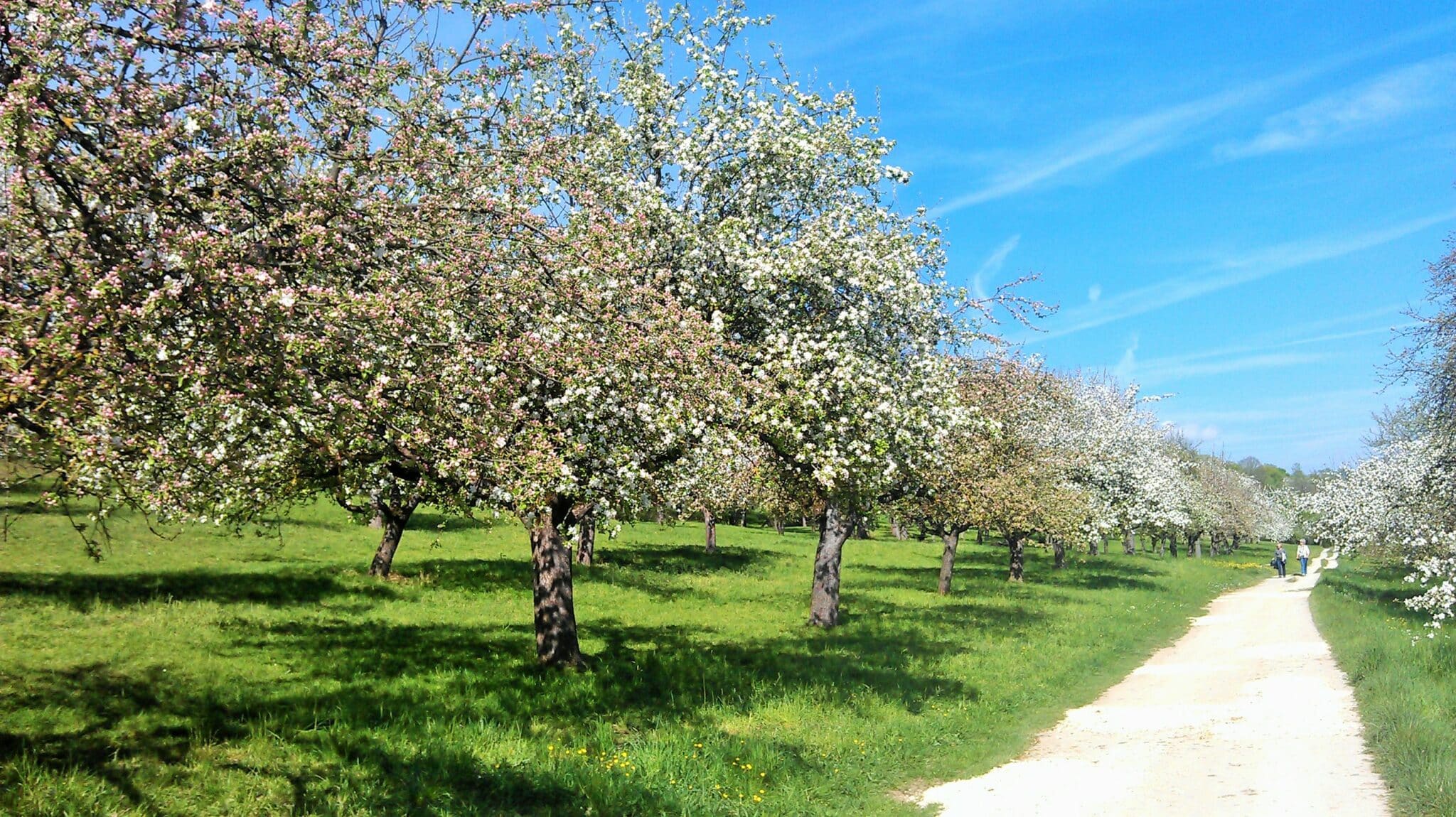 AG Biodiversity meets Urban Culture