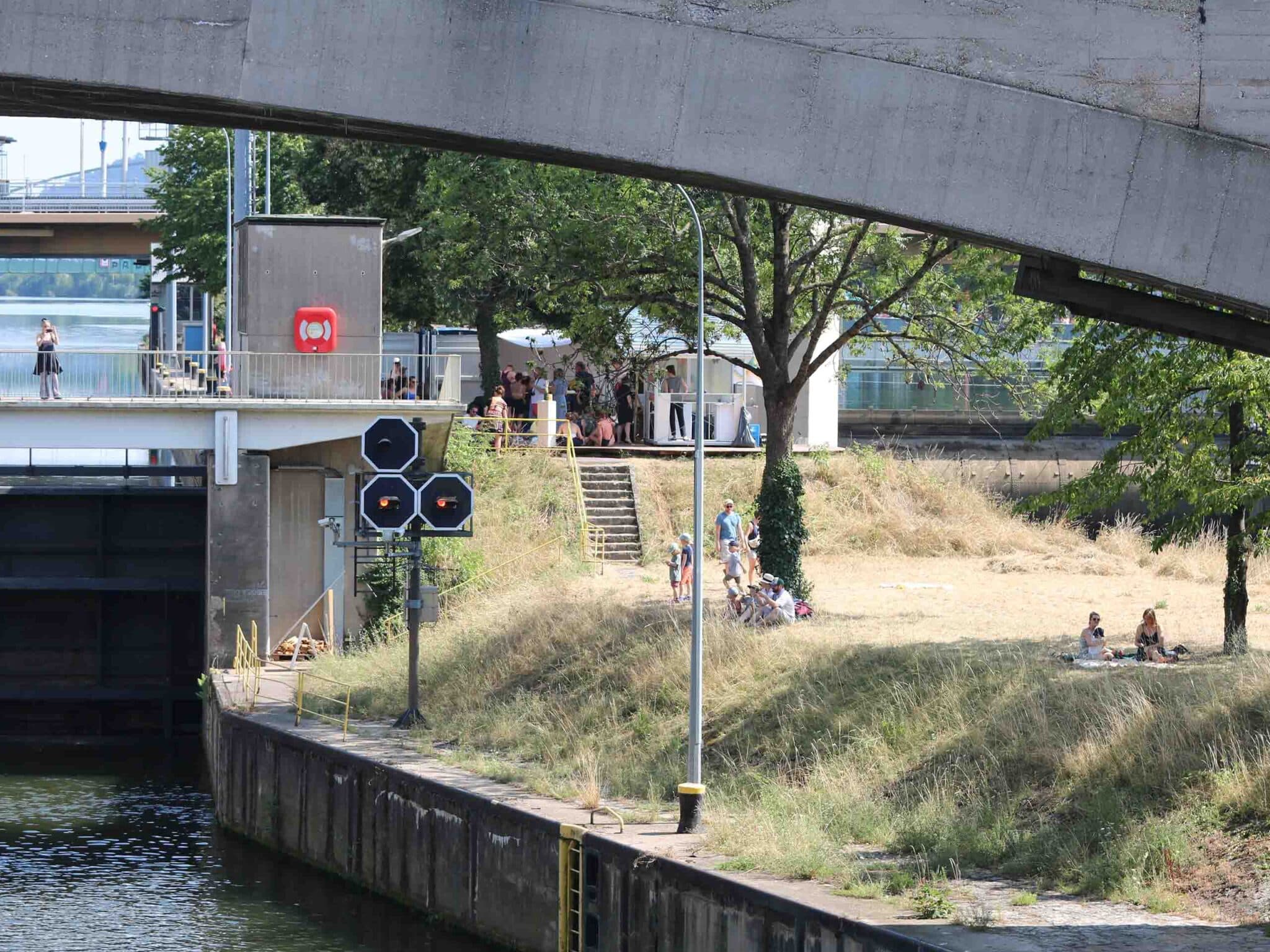 Blick auf das Stauwehr am Neckar, im Vordergrund die Neckarinsel mit Menschen auf der Wiese unter Bäumen.